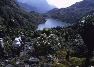 Rwenzori National Park
