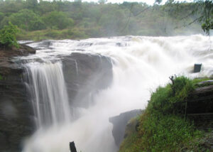Murchison Falls National Park