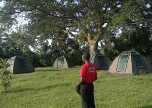Queen Elizabeth Camping Site