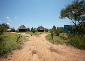 Murchison Falls Camp sites