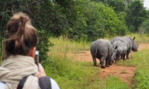 Ziwa Rhino sanctuary.