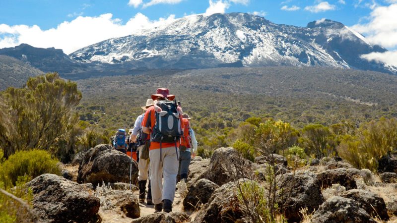 18 Days Rwenzori and Kilimanjaro